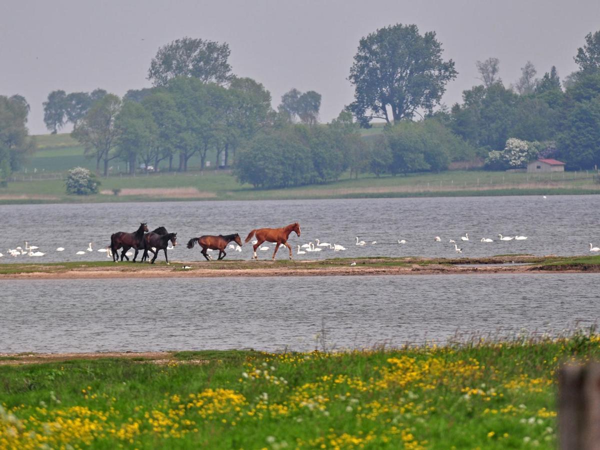 Gollwitzer Park - Insel Poel-4 By Interhome * Gollwitz